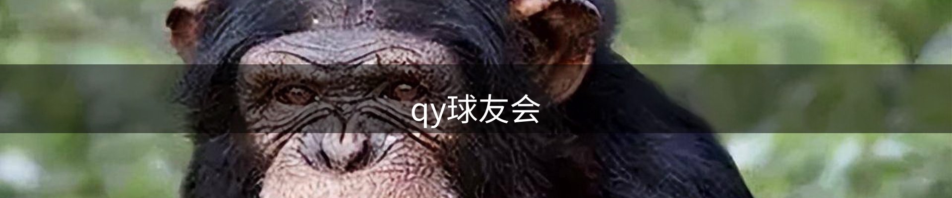 qy球友会